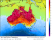 GFS Sea Level Surface Temp - 3 hourly